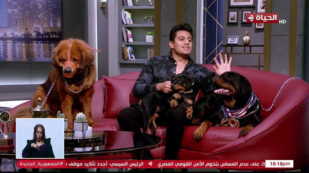 أصعب لحظات باسم: حكاية رحيل الكلب الأقرب لقلبه وتفاصيل ما بعد الوفاة