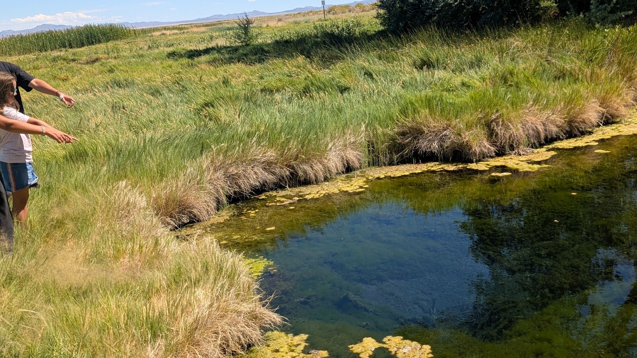Fish Springs National Wildlife Refuge - Pony Express Trail Utah - And how to get there