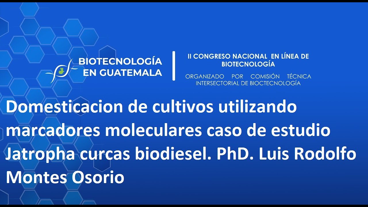 Domesticación de cultivos con marcadores moleculares en Jatropha curcas biodiesel PhD. Luis Osorio