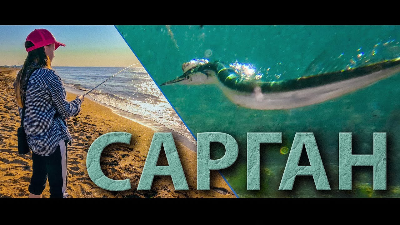 ЛОВЛЯ САРГАНА НА БОМБАРДУ. Клюют ЗЛОДЕИ и ТАЩАТ в море.