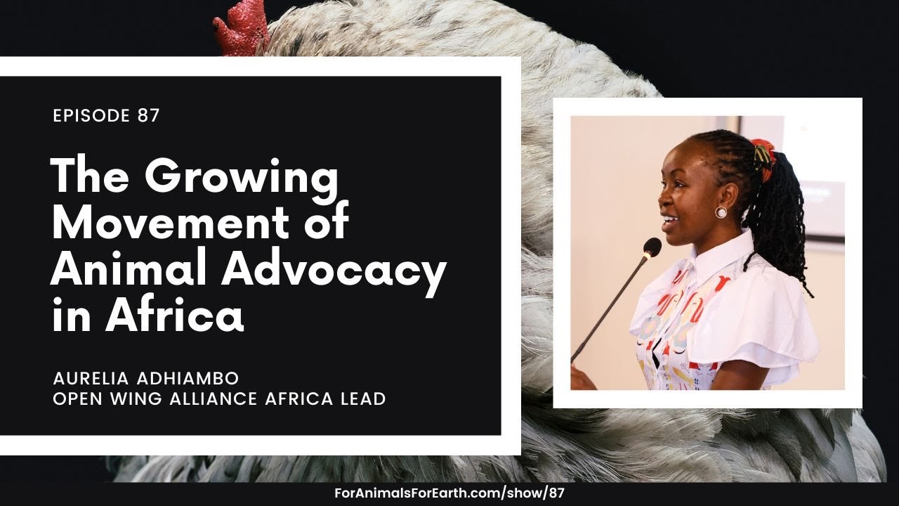 The Growing Animal Advocacy Movement in Africa with Aurelia Adhiambo