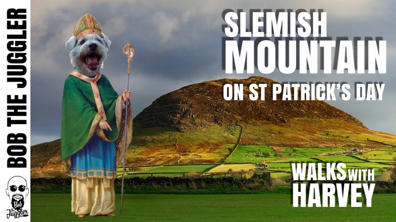 Walks with Harvey - Slemish Mountain, Antrim Hills