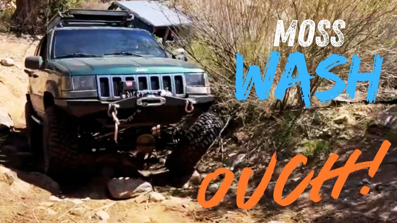 ZJ and Zip Ties on Moss Wash Trail
