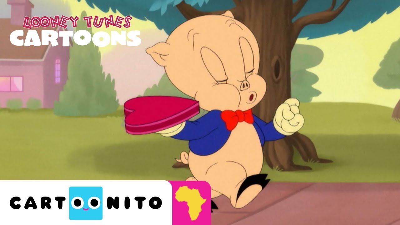 Porky's Chocolates | Looney Tunes Cartoons | Cartoonito Africa