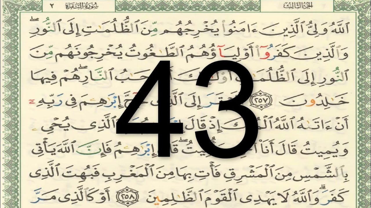 القرآن الكريم - أيمن سويد الصفحة 43