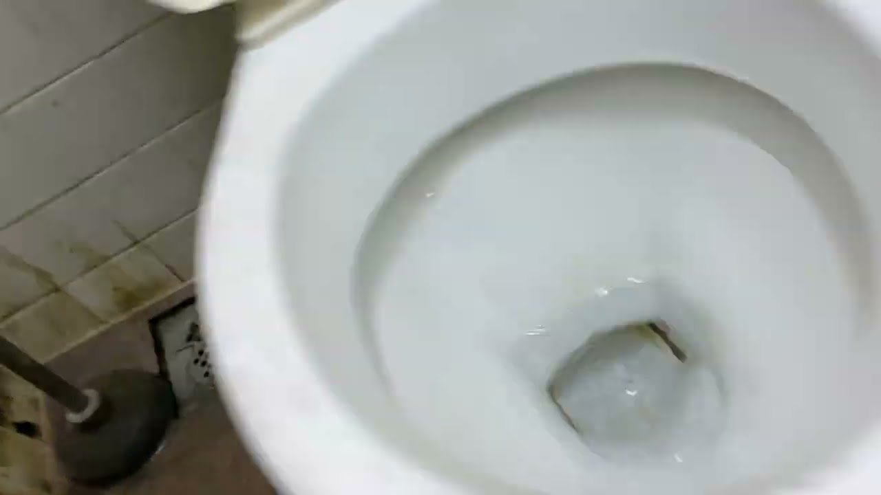 Coffeeshop Toilets Full Shoot