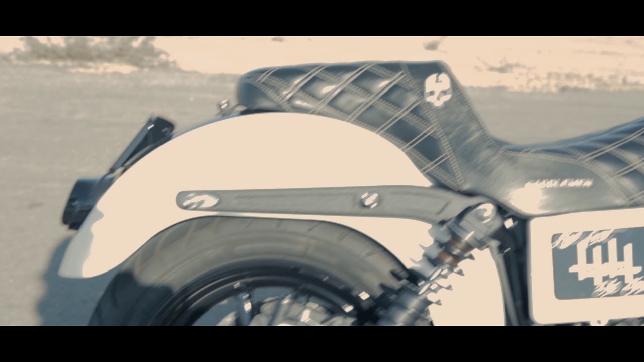 Born Scum Shop Bike 2015 Harley Davidson FXDL