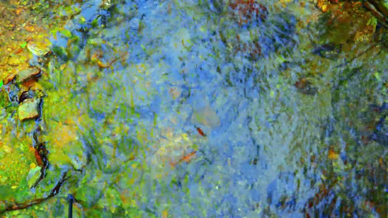 Living Crystal Clear Stream | Deep Sleep & Focus Nature Water Sounds