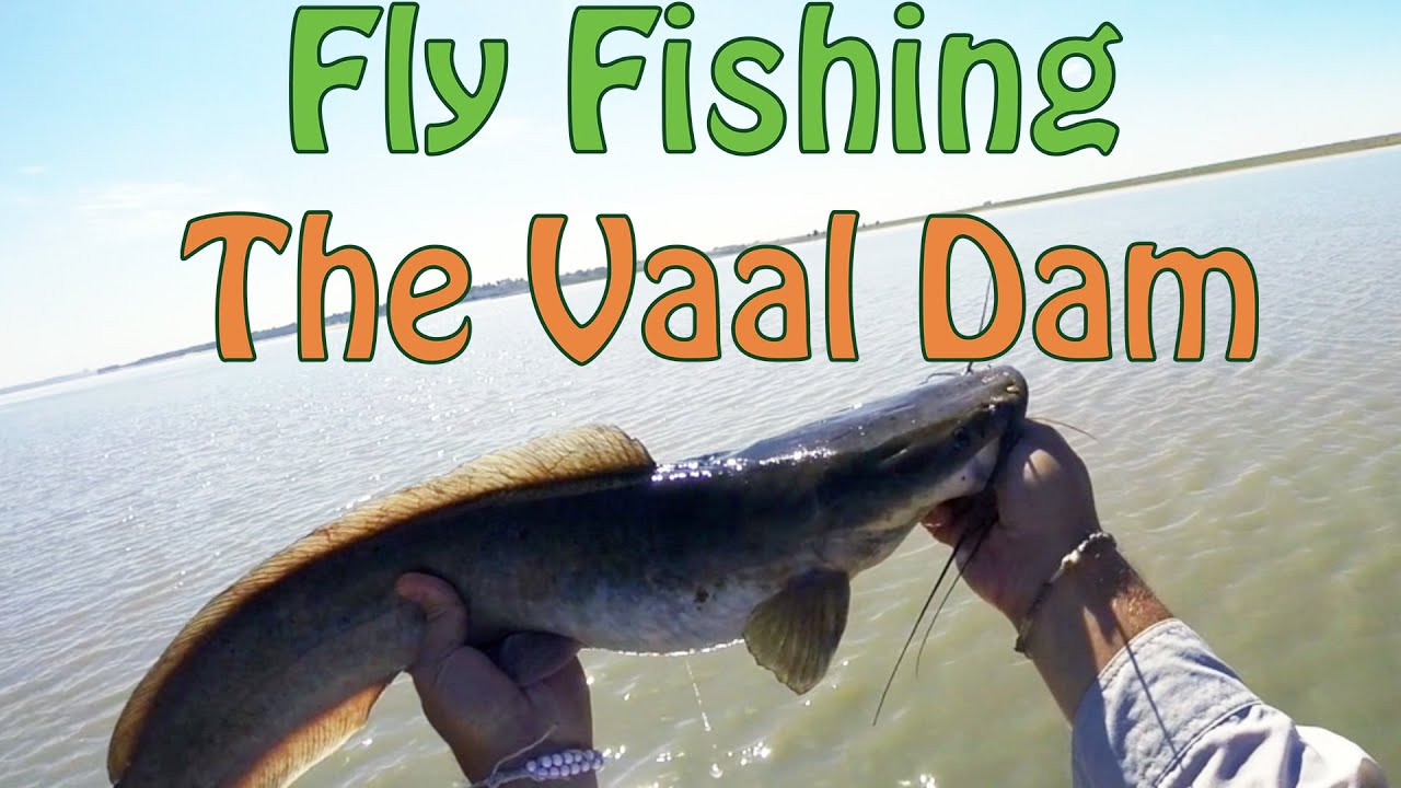 Vaal Dam Fly Fishing For Moggel & Barbel | Fish The Fly