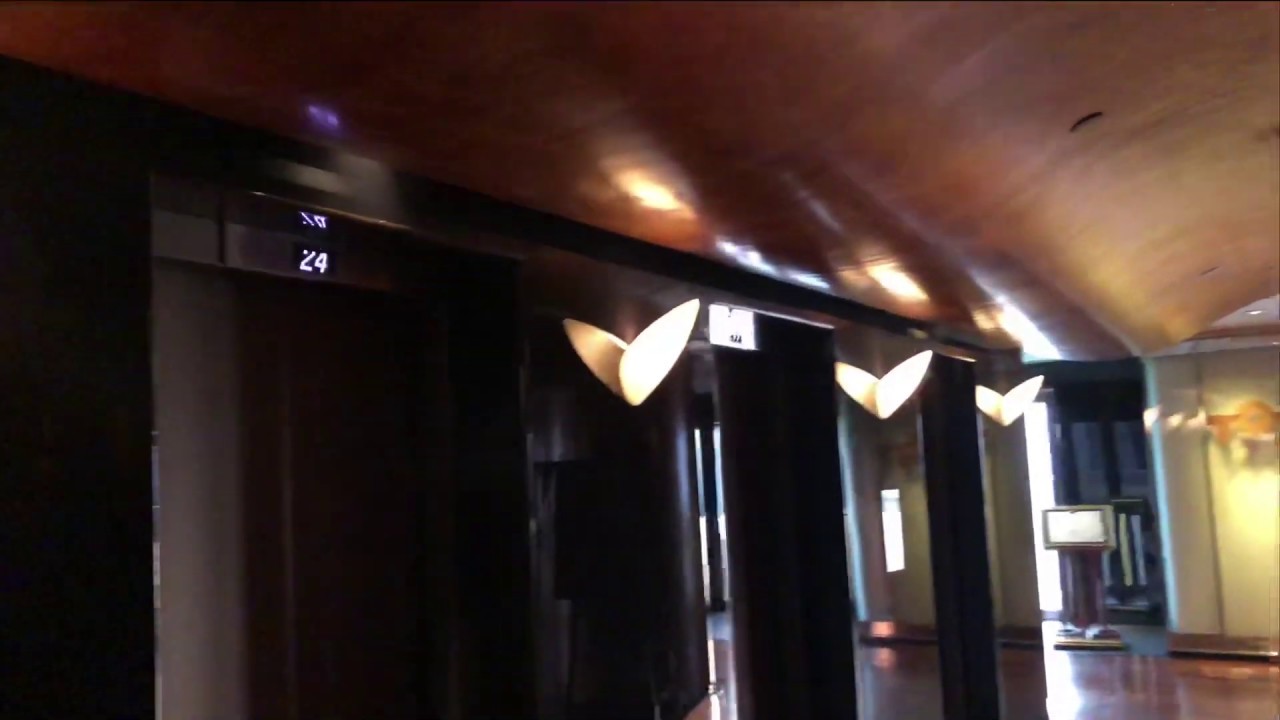 Hong Kong Elevator at Hotel - The Excelsior Lift No.7 (Schindler) (Last Ride) 香港升降機 怡東酒店7號𨋢（迅達）