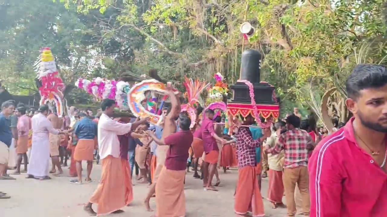 mannarasala temple to harippad temple🕌 देवता उतरे पछि  हल्लदै भक्तजनहरू रमाइलो छ