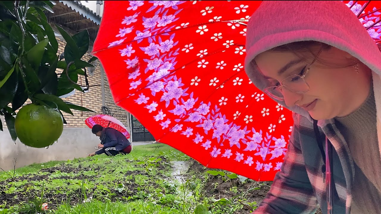 Rainy Village Day | Cooking Fish with Fresh Herbs in the Countryside 🌧️🐟