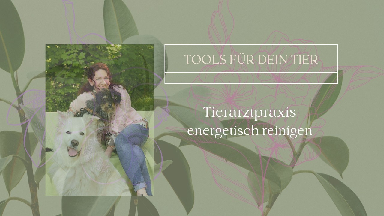 Tierarztpraxis energetisch reinigen: Darum ist es wichtig