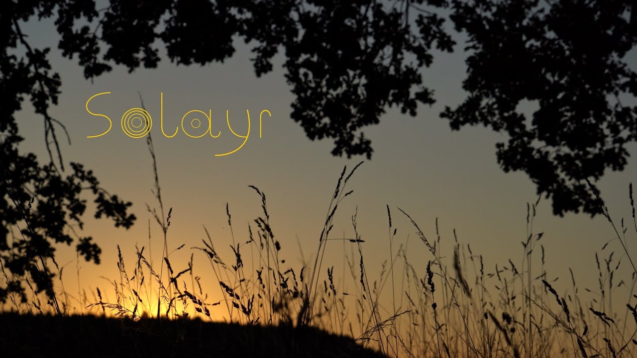 On a hill lives an oak tree. 5 Minute Nature Meditation: Solayr
