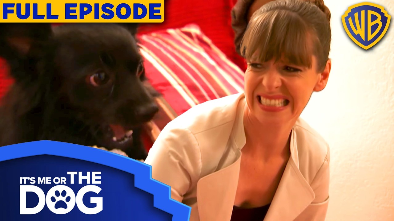 Toilet Trouble | Season 1 Episode 11 | Full Episode | It's Me Or The Dog US