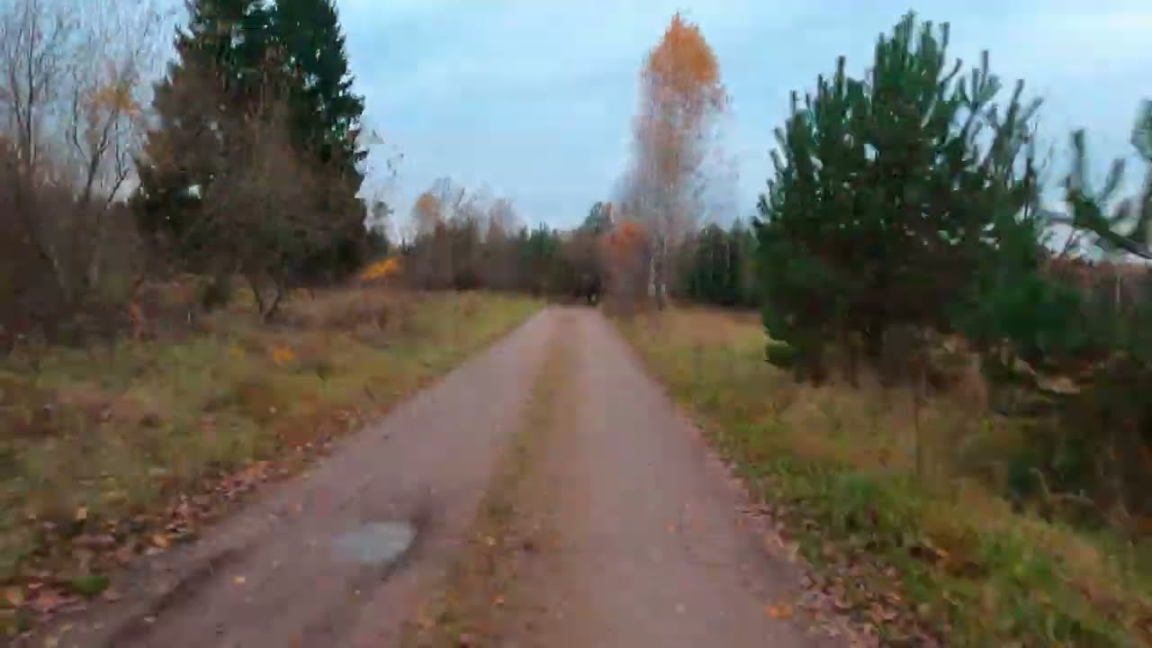 Valkirija, dar ne