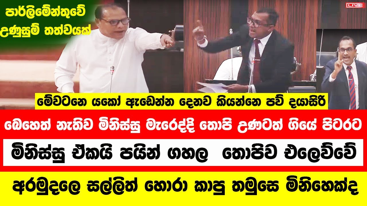 🔴මිනිස්සු මැරෙද්දි තොපි උණටත් ගියේ පිටරට ඒකයි තොපිව පයින් ගහල එලෙව්වේ - දයාසිරි ඉල්ලන් කයි #news