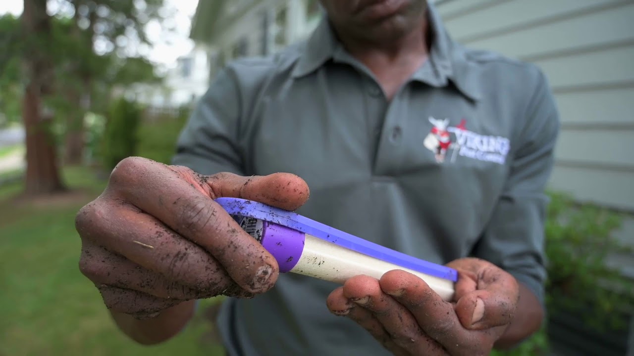 Termite Control and Extermination with Viking Pest Control