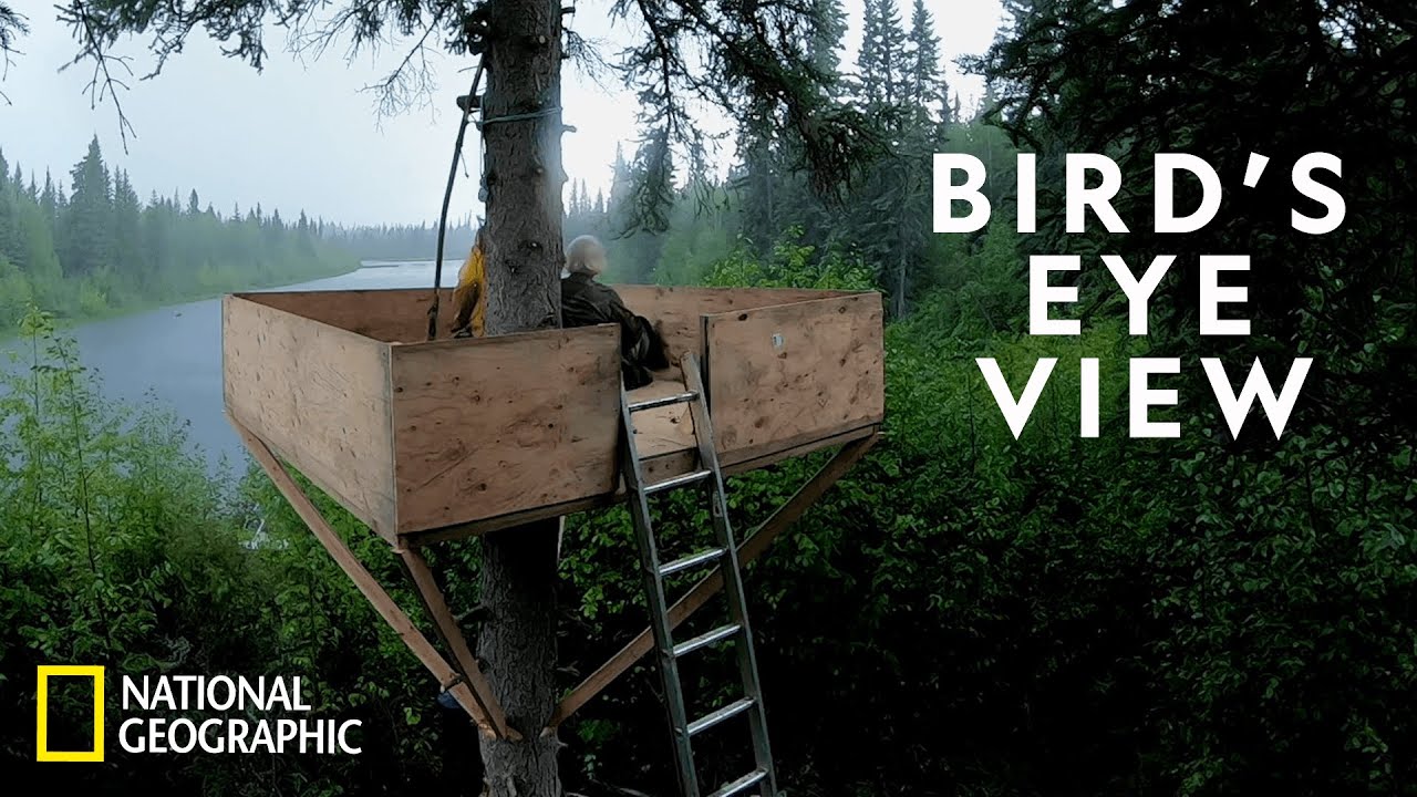 Building a Tree Stand in the Arctic | Life Below Zero