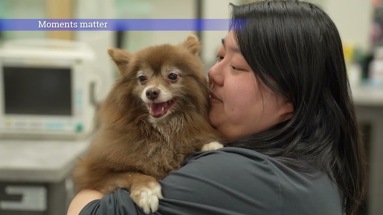 Take a tour of Boundary Bay Veterinary Specialty Hospital