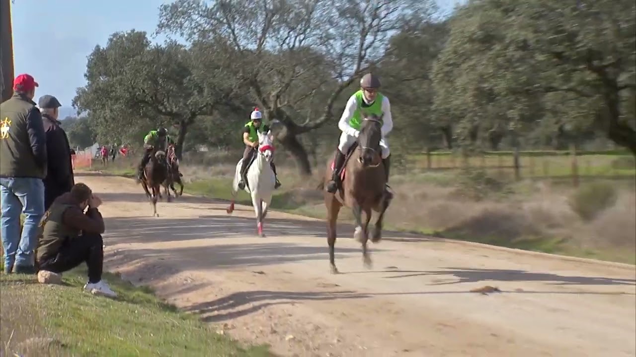 CARRERA CABALLOS TORIL 2026  2 MANGA PURA SANGRE