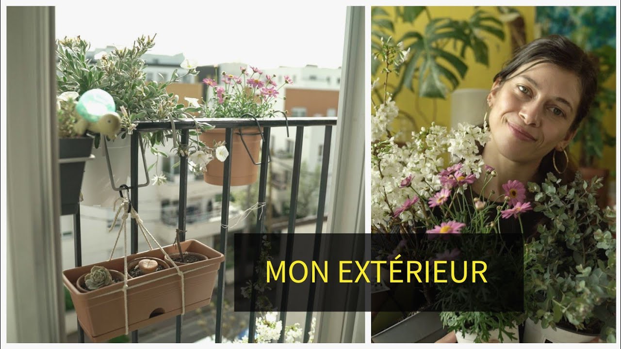 #3 HAUL PLANTES D'EXTERIEURS & #11 VLOG BALCON & UPDATE SUCCULENTES |  PLEIN SUD JE CRÉ DE L'OMBRE