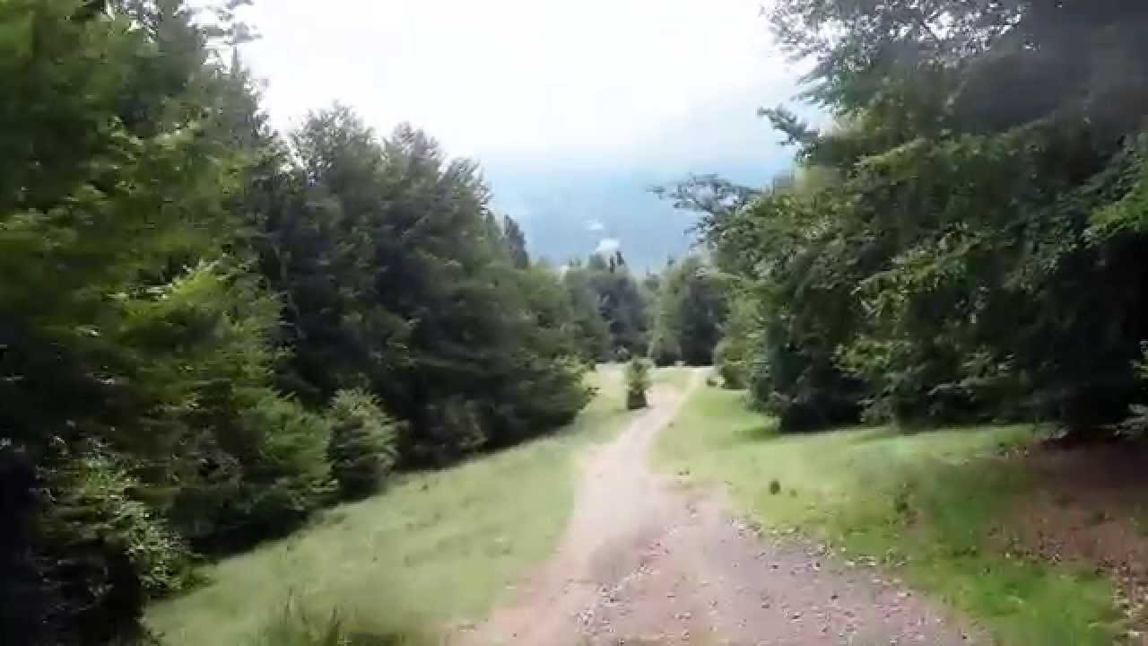 Sat Bătrân - Culmea Pleașa - Cuntu - Țarcu(cu bicicleta)