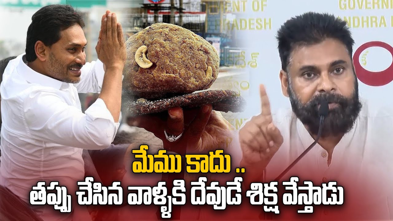 వైసీపీకి పవన్ కళ్యాణ్ స్ట్రాంగ్ వార్నింగ్! "మేము కాదు.. దేవుడే శిక్ష వేస్తాడు | Oneindia Telugu