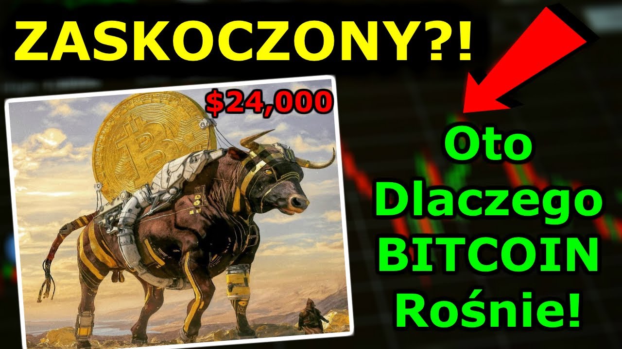 Bitcoin Za $24,000!! Kryptowaluty Nabierają Rozpędu na 2021!  Kto Czeka Na Zakupy? Cena Bitcoina