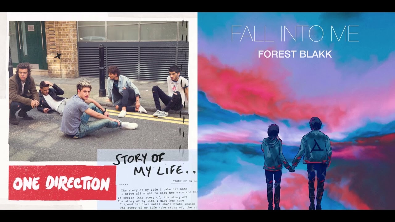 Fall Into My Life (Mashup) - One Direction x Forest Blakk