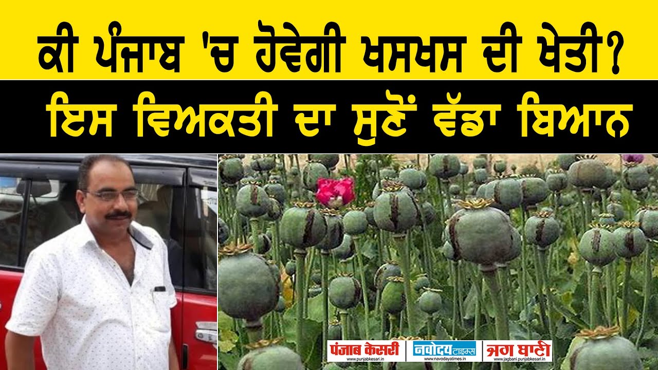 ਕੀ ਪੰਜਾਬ 'ਚ ਹੋਵੇਗੀ ਖਸਖਸ ਦੀ ਖੇਤੀ? ਮੰਤਰੀ ਨੂੰ ਮਿਲ ਕੇ ਆਏ ਇਸ ਵਿਅਕਤੀ ਦਾ ਸੁਣੋਂ ਵੱਡਾ ਬਿਆਨ
