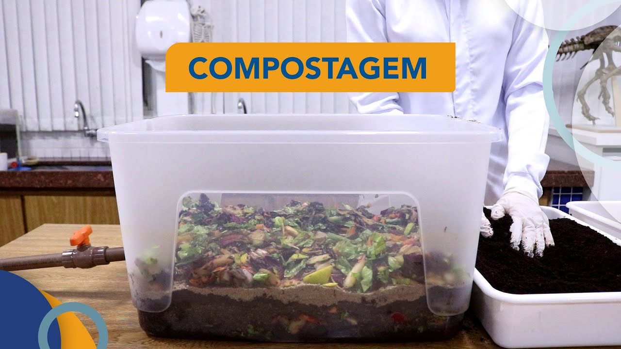 Aula de Biologia: Como montar uma composteira caseira?