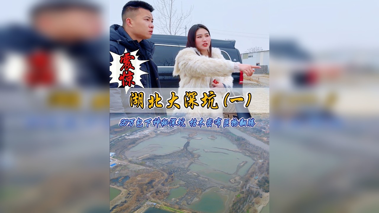 震惊！20万包下“神秘深坑”枯木密布下到底藏着什么秘密？