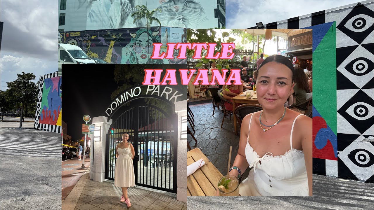 LITTLE HAVANA/WYN WOOD WALLS/MİAMİ GÜNLÜĞÜ