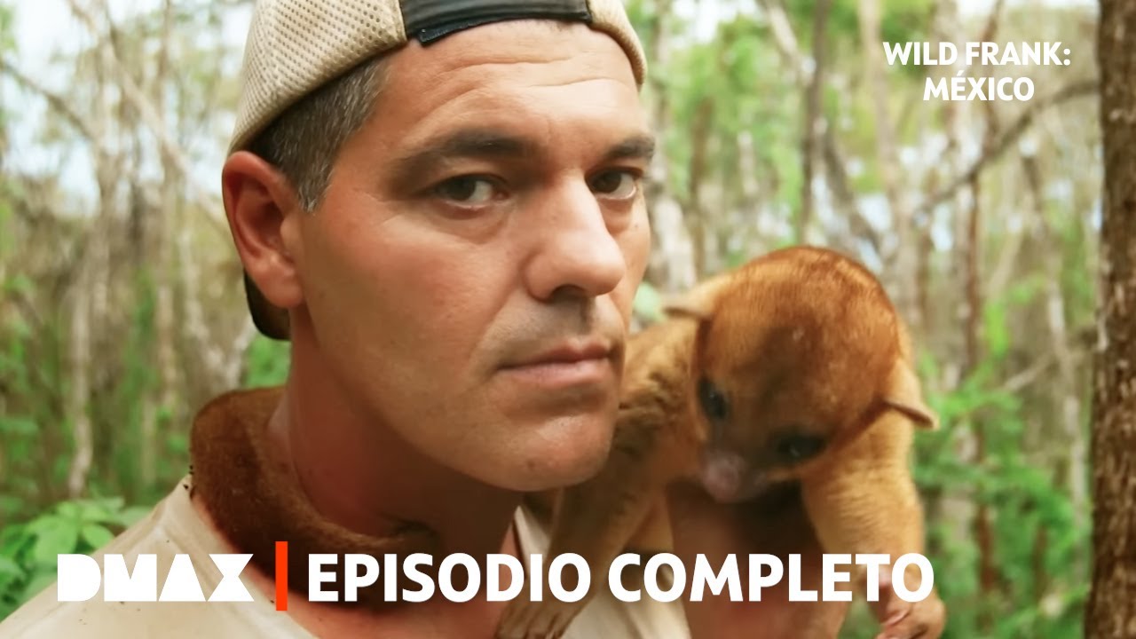El enigma maya: ¿predijeron el fin del planeta? | Episodio 5 Completo | Wild Frank: México