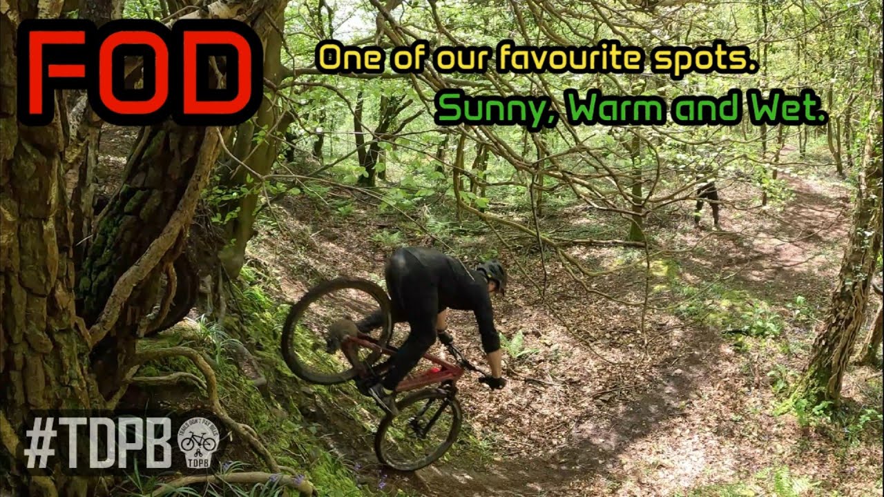 A special set of woods tough in the mud.