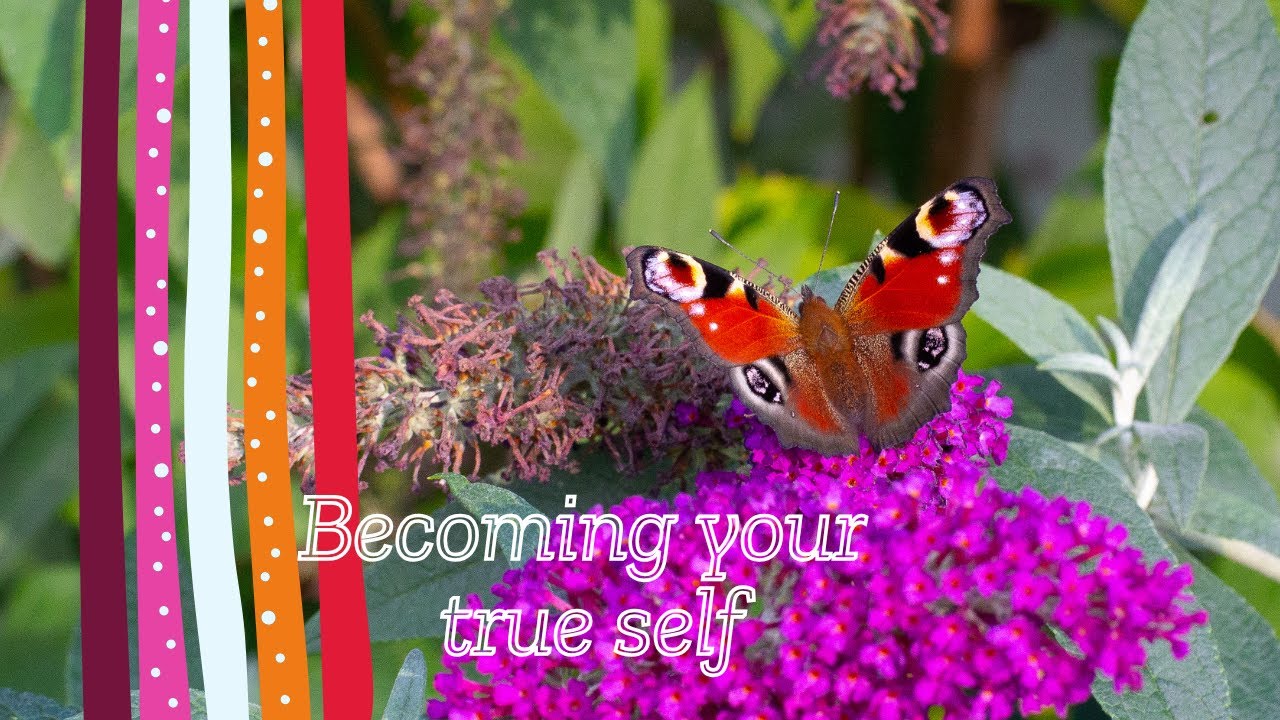 The Chrysalis Within: A Story of Becoming