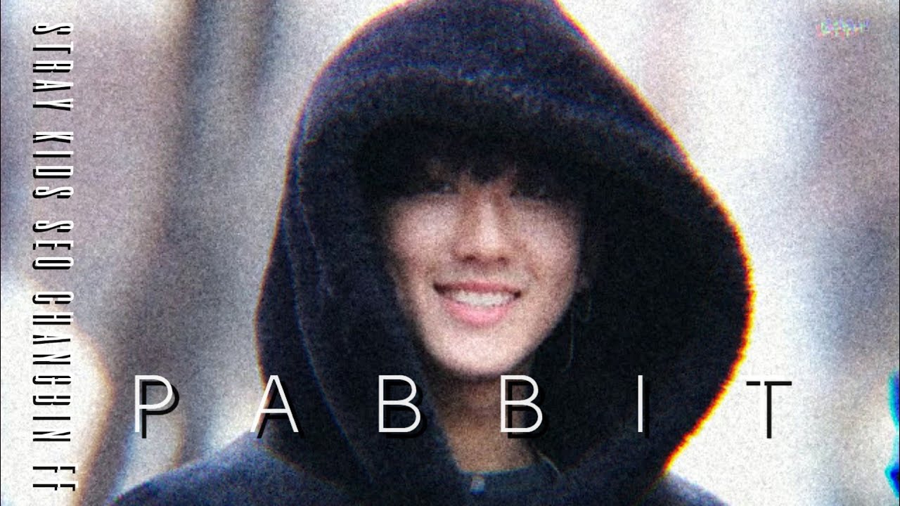 Oneshot : 🐰 - Stray Kids Seo Changbin FF || Pabbit