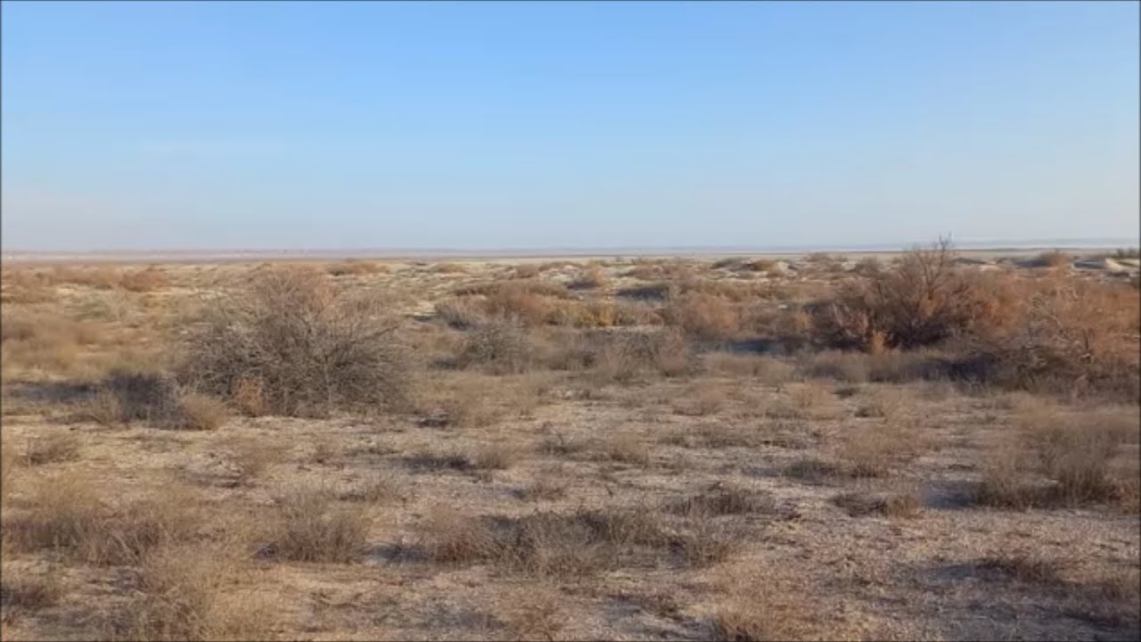 Последний выход на поиски в ушедшем году!