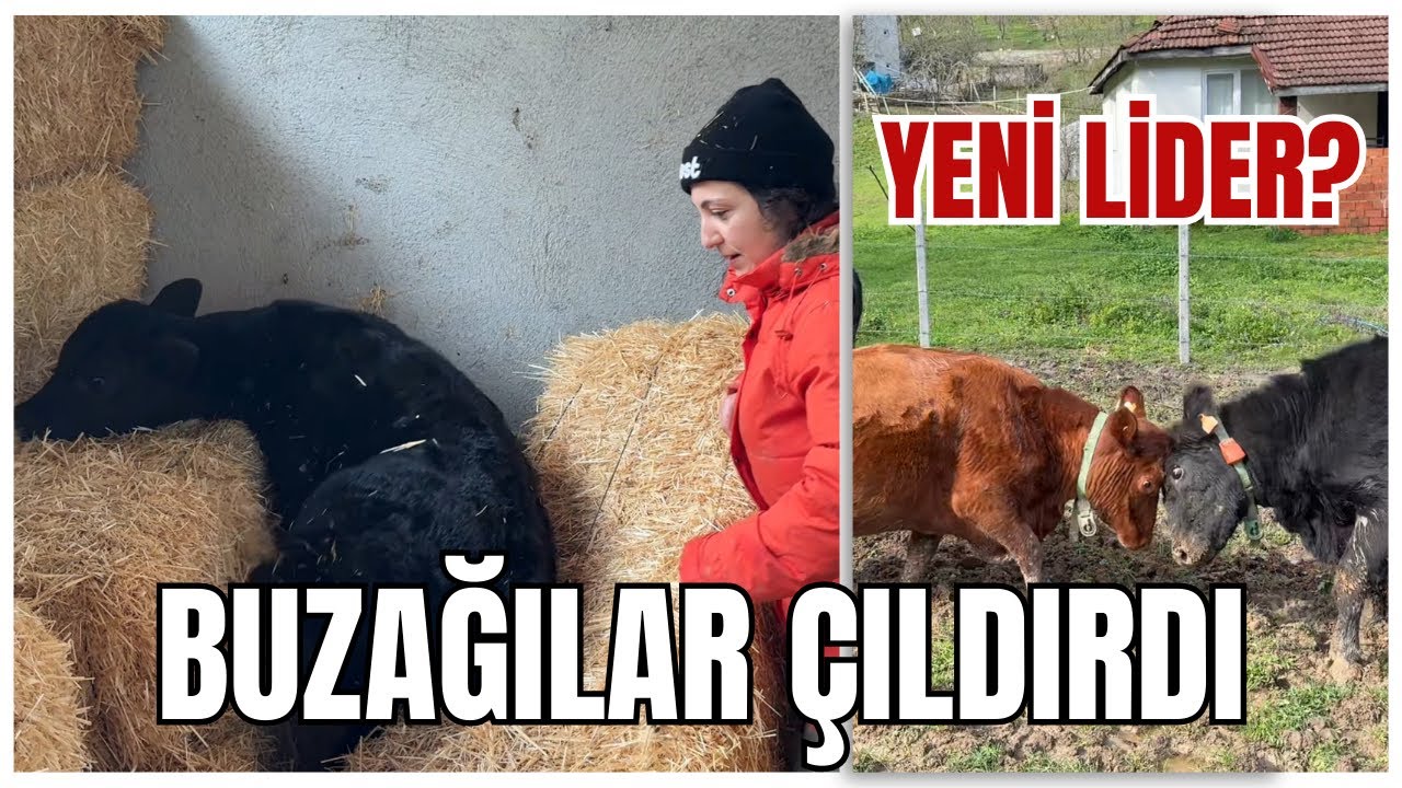 Korktuğumuz Doğum Yaklaşıyor!