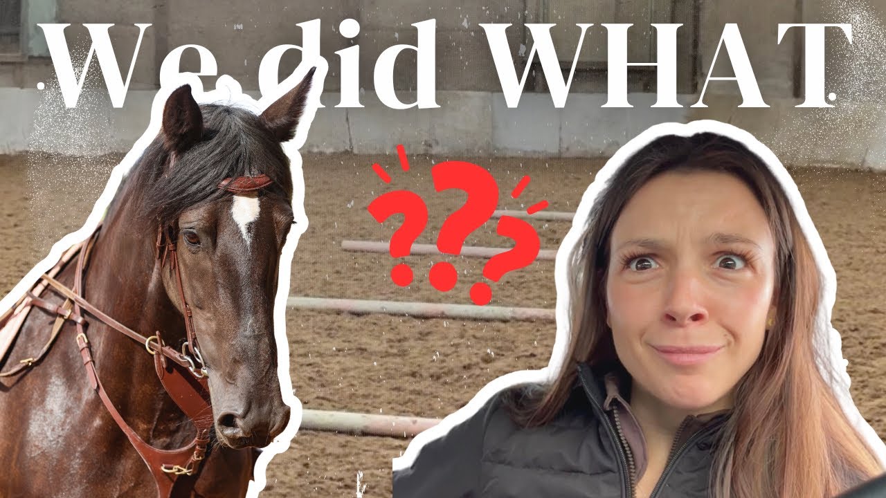 Daily Routine with my Horse | I jumped BAREBACK!!