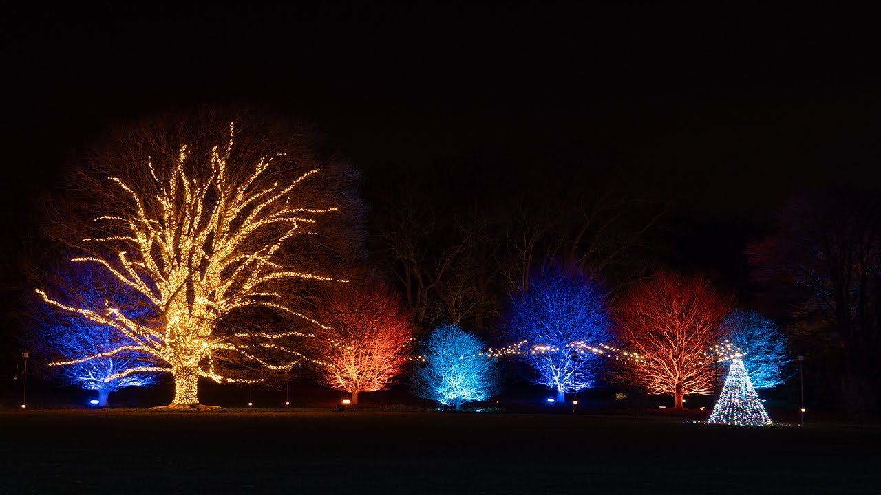 Walking Through Magical Lights at Longwood Gardens