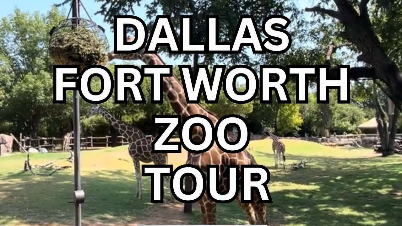 Zoo Tour Dallas / Fort Worth - Walk Around Full Zoo Tour with Zoo Animals - Texas Zoo
