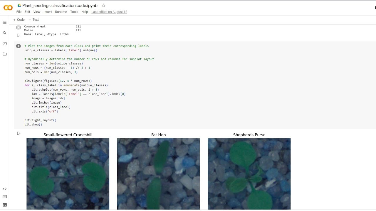 CNN Project using Tensorflow and Transfer Learning VGG 16 | Plant Classification Project using DL