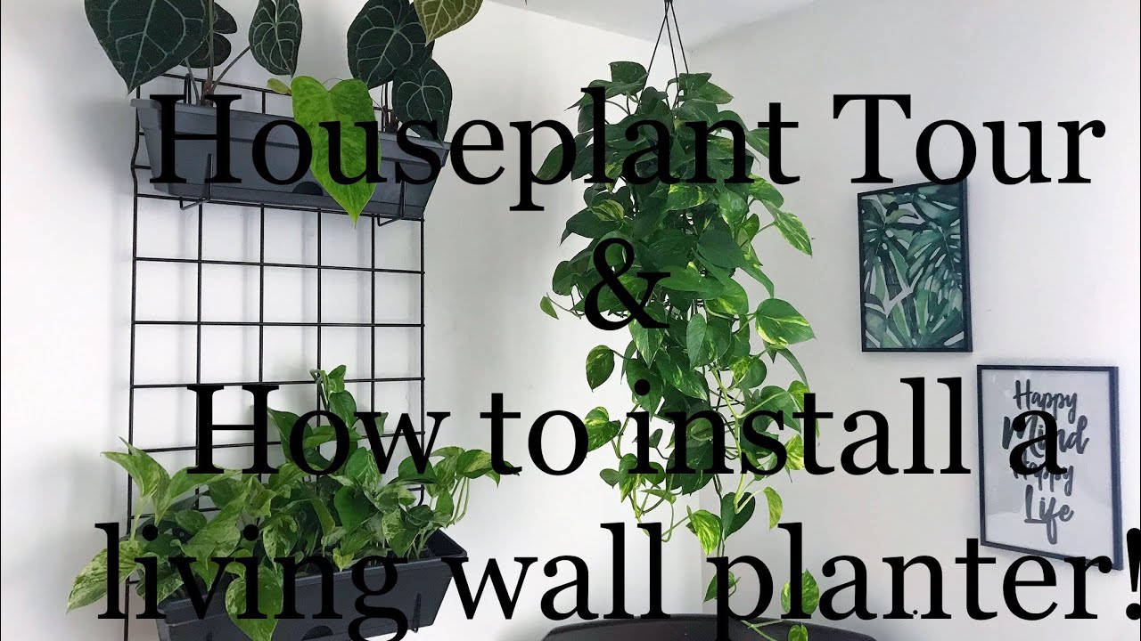 Houseplant Bedroom Tour and living green wall idea!