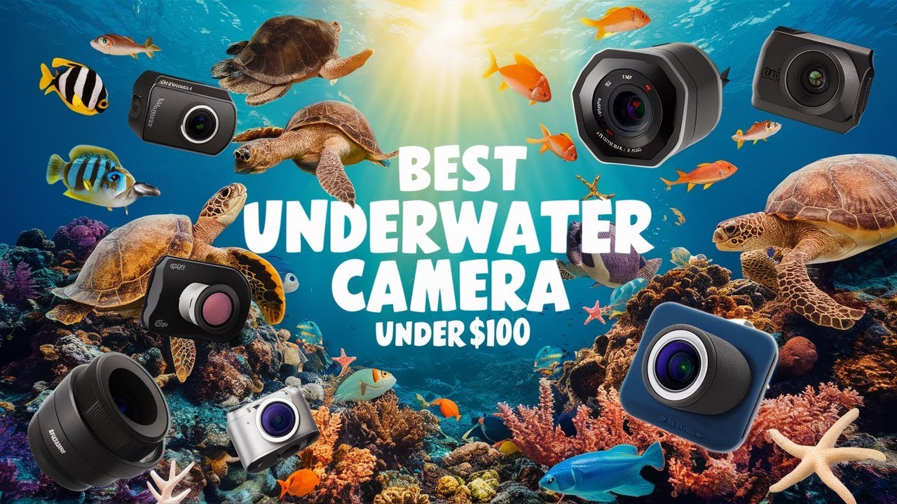 🌟Top 5 Best Underwater Camera under $100 Reviews in 2024