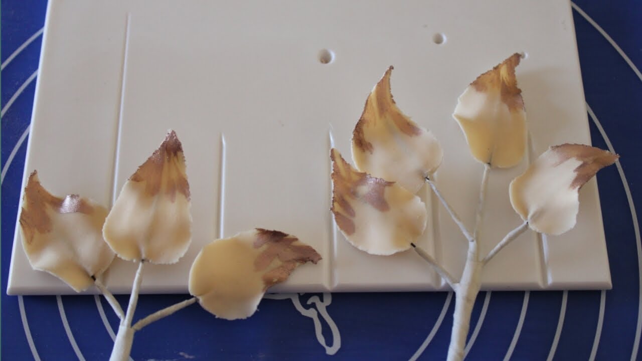 How to use leaf & petal veiners board or CelBoard for fondant leaf & petal.