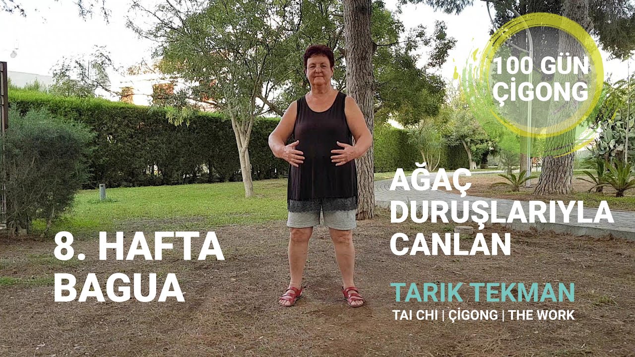 Ağa&ccedil; Duruşlarıyla Canlan, 100 G&uuml;n &Ccedil;igong, 8. Hafta Bagua