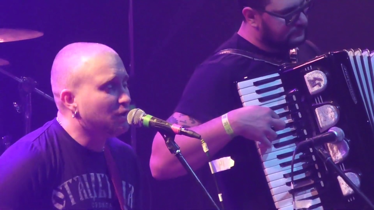 THE IRON BEES (9 февраля SKA ALL STARS клуб Театръ )