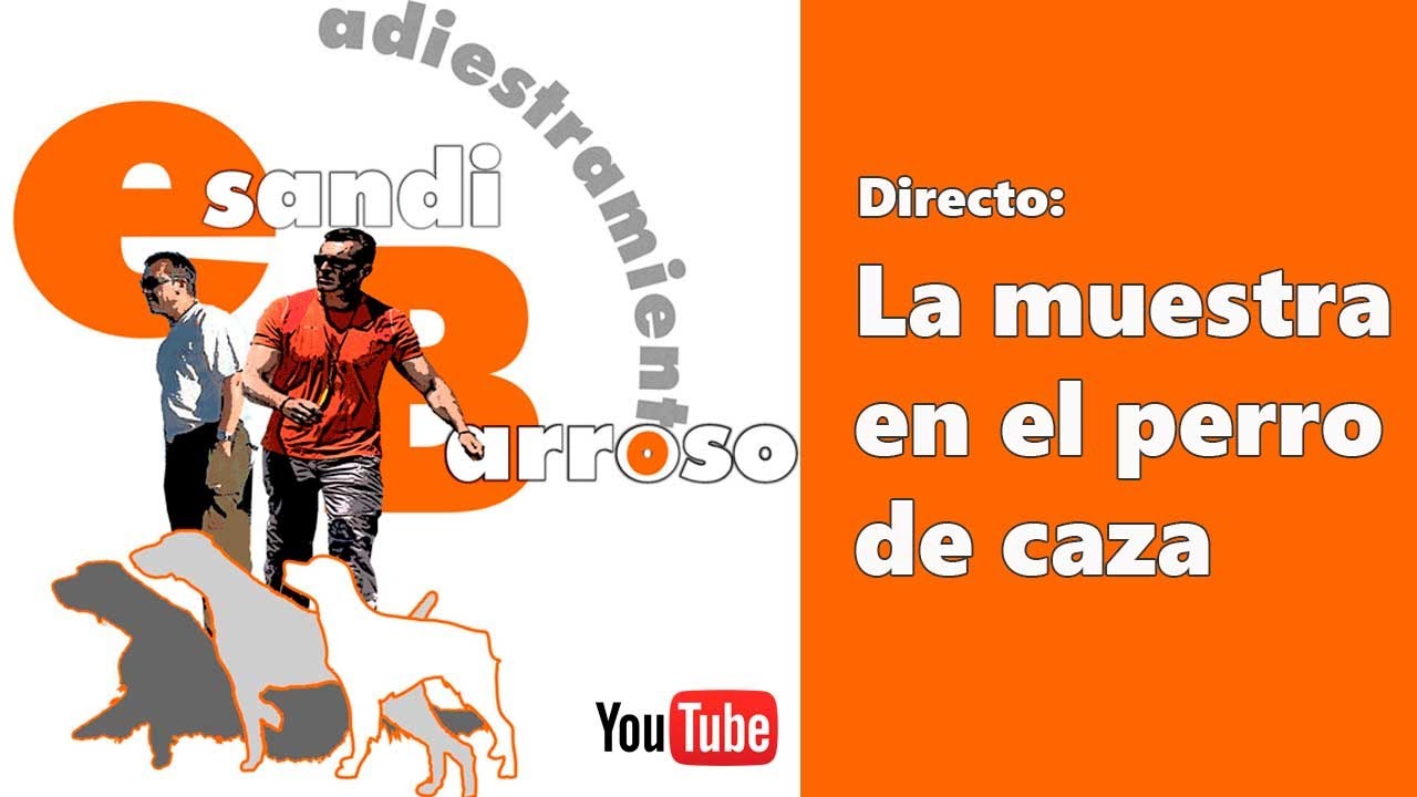 Directo - La muestra